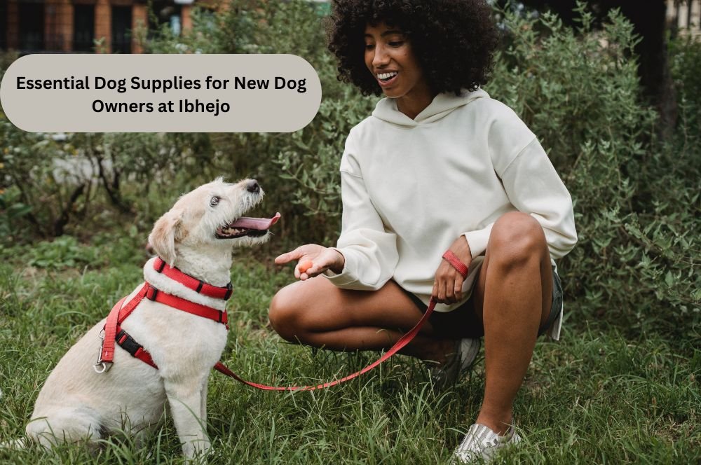 New dog hot sale supplies