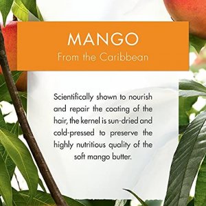 Klorane Nourishing Shampoo With Mango Butter, Moisturize and Hydrate Dry Hair, Paraben, Silicone, Sls Free, Travel Size, 3.3 oz.