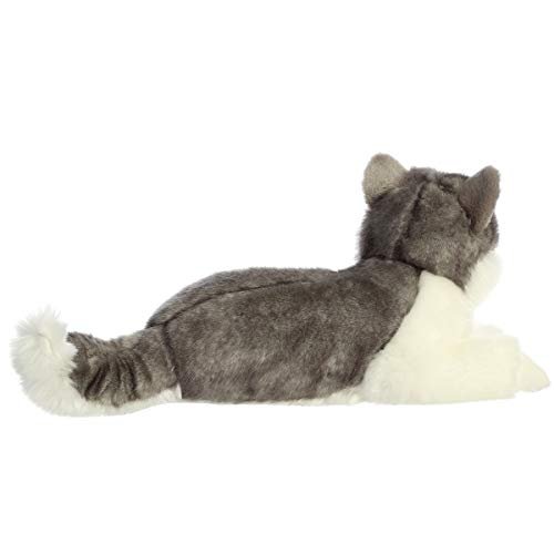 Aurora - Miyoni - 14" Siberian Husky - Imported Products from USA - iBhejo