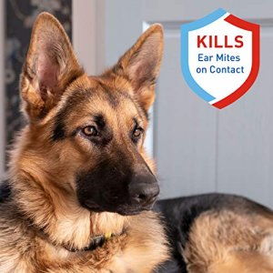 Adams Ear Mite Treatment