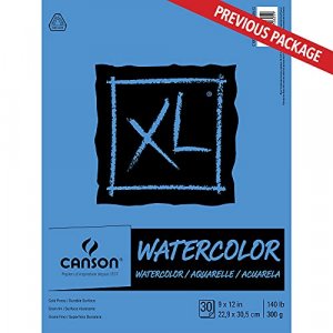 Canson Artist Series Drawing Paper, Wirebound Pad, 18x24 inches, 24 Sheets  (80lb