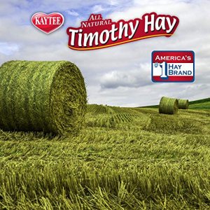 Kaytee Timothy Hay Blend Cubes 1 Pound