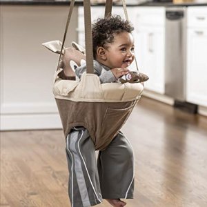 Evenflo Exersaucer Door Jumper, Roo