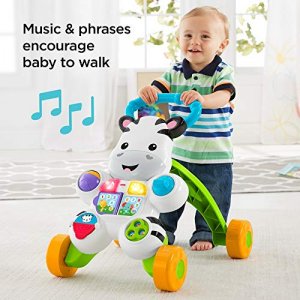 Fisher-Price Learn With Me Zebra Walker