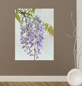 Wallmonkeys Fot-3162527-30 Wm199964 Wisteria Peel And Stick Wall