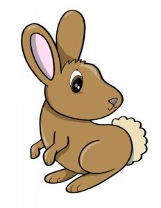 Wallmonkeys Wm70555 Cute Little Baby Rabbit Wall Decal Peel And Stick Graphic (36 In H X 28 In W)