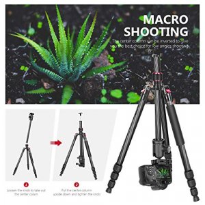 Neewer Carbon Fiber 66 inches/168 centimeters Camera Tripod Monopod with 360 Degree Ball Head,1/4 inch Quick Shoe Plate,Bag for DSLR Camera,Video Cam