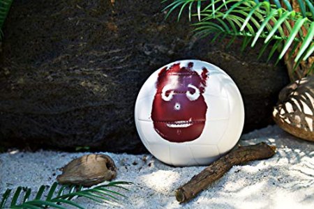 Wilson Cast Away Volleyball