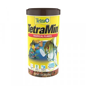 Tetra Tetramin Tropical Flakes, Nutritionally Balanced Fish Food, 7.06-Oz