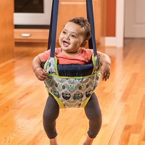 Evenflo Exersaucer Door Jumper Owl
