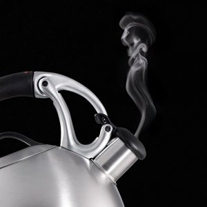 Oxo 71190 Good Grips Uplift Tea Kettle, 2 Quarts, Brushed Stainless