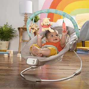 Disney Baby Winnie The Pooh Bouncer - Dots And Hunny Pots