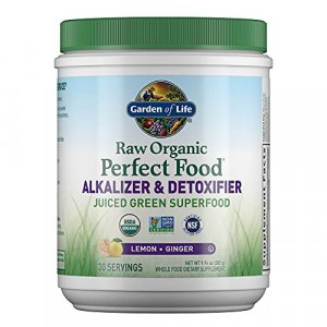 Garden Of Life Vegan Green Superfood Powder - Raw Organic Perfect Whole Food Alkalizer & Detoxifier, 10.1Oz (285G) Powder