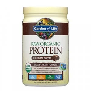 Garden Of Life Vegan Raw Organic Plant Based Protein Shake Chocolate 23.4 Oz