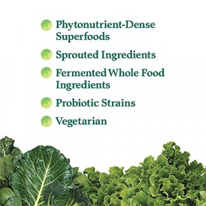 Garden Of Life Whole Food Vegetable Supplement - Perfect Food Green Superfood Dietary Powder, 600G