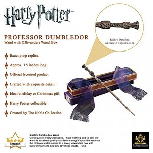 The Elder Wand in Ollivander's Box