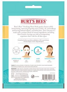 Burt's Bees Purifying Sheet Mask With Kiwi Extract Mask, 0.33 Ounce