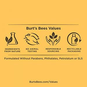 Burt'S Bees Bb Cream With Spf 15, Light / Medium, 1.7 Ounces