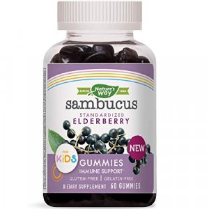 Nature'S Way Sambucus Elderberry Gummies For Kids With Vitamin C And Zinc Vegetarian 60 Count
