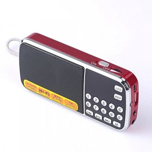 Mfine Portable Mini Usb Fm Radio Speaker Music Player Micro Sd/Tf Card For Pc Ipod Phone - 088 Red