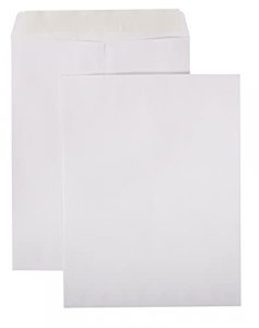 Basics Catalog Mailing Envelopes, Peel & Seal, 10x13 Inch, White,  250-Pack - Imported Products from USA - iBhejo