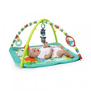 Bright Starts Zig Zag Safari Activity Gym and Play Mat with Take-Along Toys, Ages Newborn +