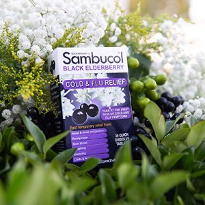 Sambucol Black Elderberry Cold & Flu Relief Tablets 30 ct