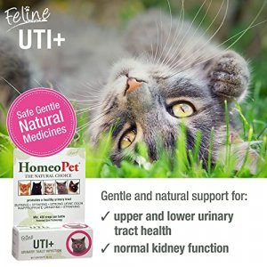 HomeoPet UTI Plus Urinary Tract Infection for Cats, 15ml