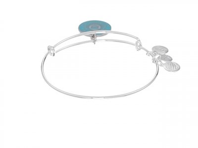 Alex and ani on sale coast guard bracelet