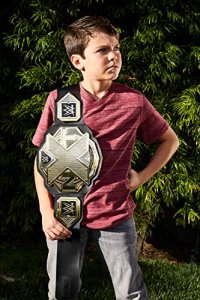 WWE New NXT Championship Title Belt