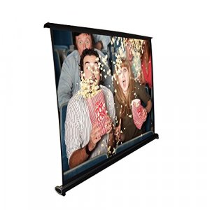 Pyle Portable Projector Screen - Mobile Projection Screen Stand, Lightweight Carry Meeting Conference Indoor Outdoor Use, 40 Inch (PRJTP46), White