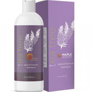Tea Tree Shampoo for Oily Hair - Paraben and Sulfate Free Clarifying Shampoo - Purifying Aromatherapy Tea Tree Oil Shampoo for Greasy Hair