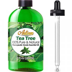 Artizen Tea Tree Essential Oil (100% Pure & Natural - Undiluted) Therapeutic Grade - Huge 2oz Bottle - Perfect for Aromatherapy, Relaxation, Skin The