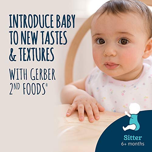 Gerber 2nd Foods Mealtime for Baby Baby Food, Chicken & Gravy, 2.5 oz  Jar (10 Pack) 
