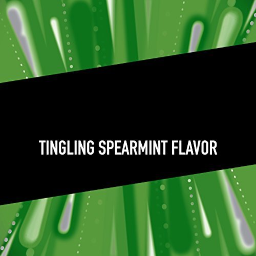 5 Gum Spearmint Rain Sugarfree Chewing Gum, 15-Stick Pack (Pack of 3)