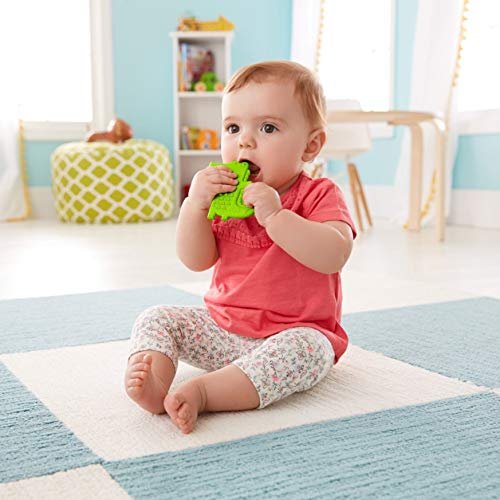 Fisher price best sale alligator teether