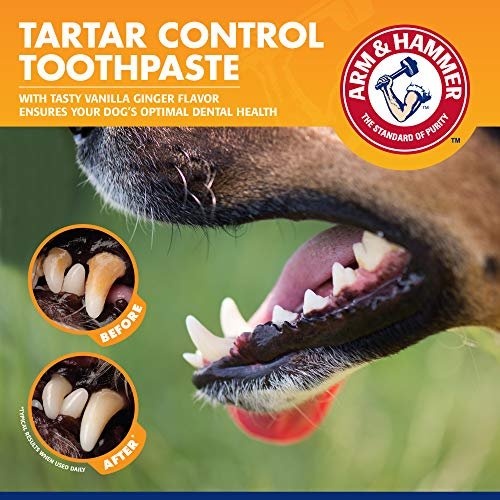 Arm and hammer cheap dog toothpaste vanilla ginger