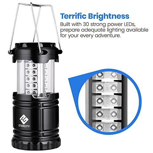 Etekcity LED Camping Lantern for Emergency Light Hurricane Supplies,  Lanterns for Survival Kits Power Outages, 4 Pack & Energizer AA Batteries,  Double