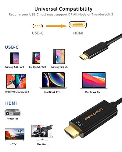 USB C to HDMI Cable 4K, 6ft USB Type C to HDMI Cable Adapter High Speed  Cord Connect Laptop and Phone to TV Compatible with 2020 MacBook Pro/Air,  iPad Pro 2020, LG