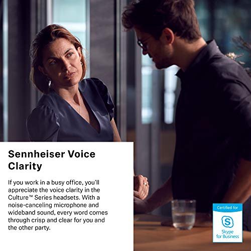 Sennheiser culture sc online 60