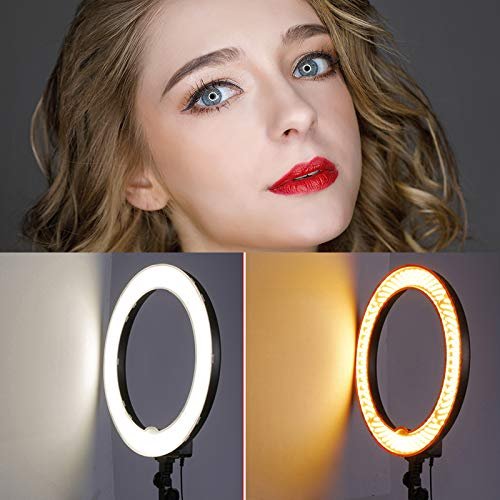 Neewer 18-Inch Ring Light, 55W Dimmable 5500K Light with 240 LEDs Color  Filter, Soft Tube and Carrying Bag for , TikTok, Selfies and