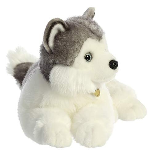 Miyoni top tots husky