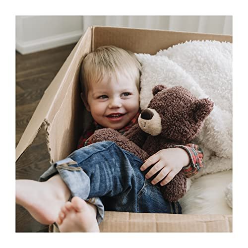 GUND Fuzzy Teddy Bear Stuffed Animal Plush, Chocolate Brown, 13.5 –  StockCalifornia