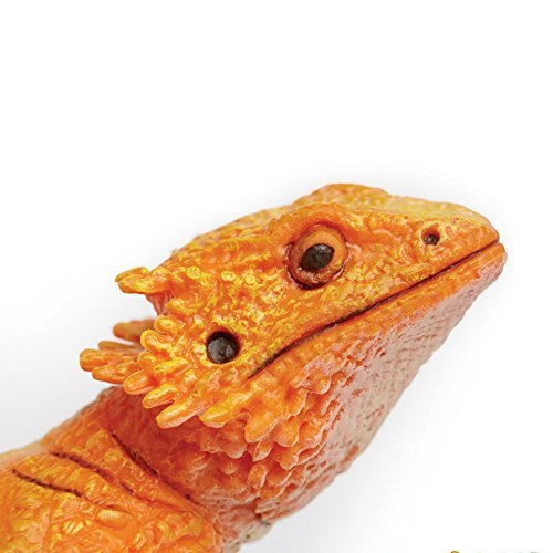 safari ltd bearded dragon