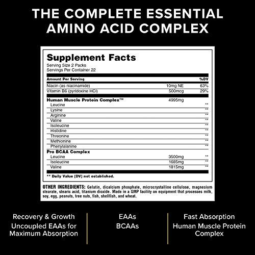 Universal Nutrition Animal Nitro Sports Nutrition Supplement, 44-Count -  Shop Imported Products from USA to India Online - iBhejo