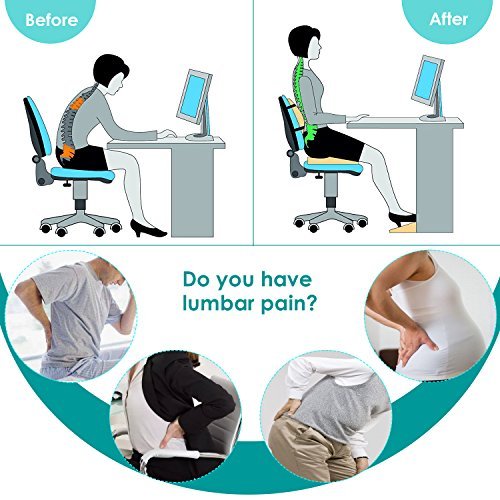 Lumbar Support Pillow, Back Cushion, Memory Foam Orthopedic