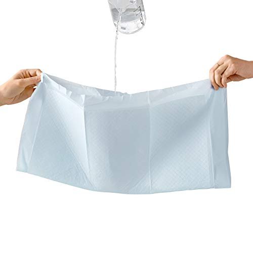   Basics Dog and Puppy Pee Pads with 5-Layer Leak-Proof  Design and Quick-Dry Surface for Potty Training, X-Large, 28 x 34 Inch -  Pack of 40, Blue & White 