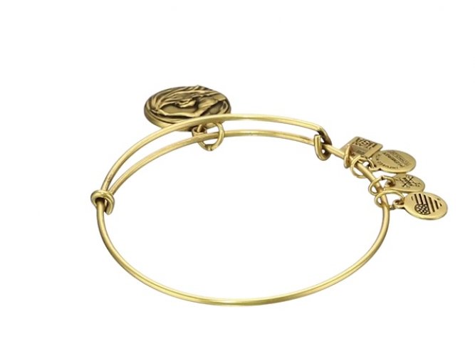 Alex and ani discount team usa swimming