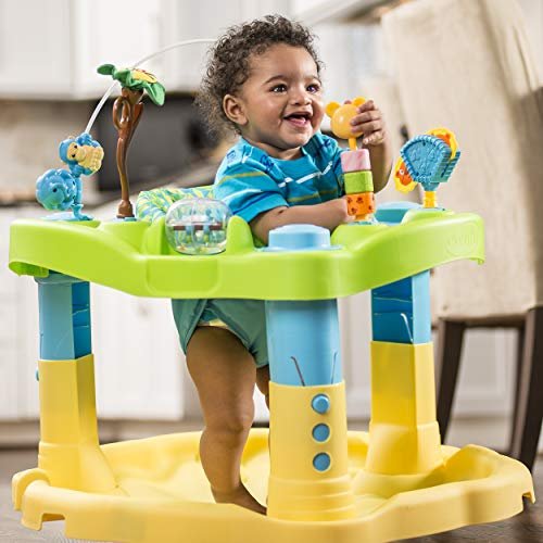 zoo exersaucer