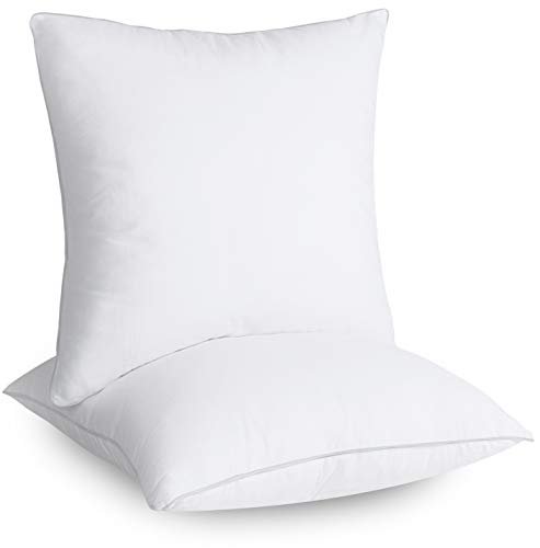 Utopia Bedding Throw Pillows Insert (Pack of 2, White) - 12 x 20 Inches Bed  and Couch Pillows - Indoor Decorative Pillows